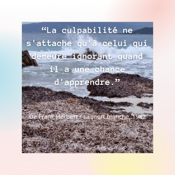 Lire la suite à propos de l’article La culpabilité, trouver le juste milieu